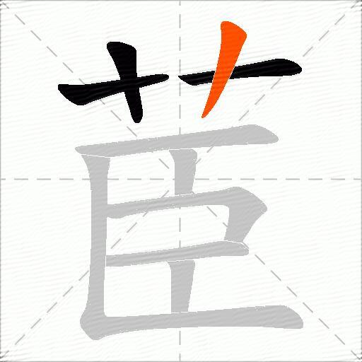 茞