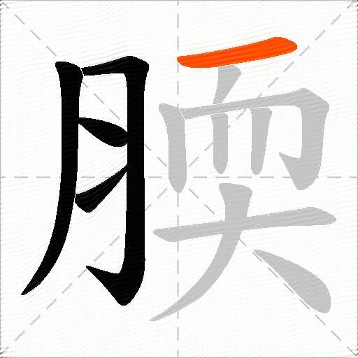 腝