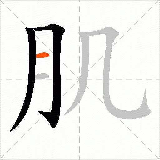 肌