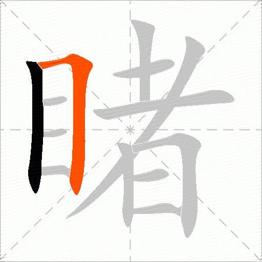 睹