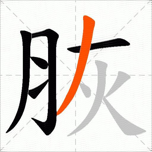 脄