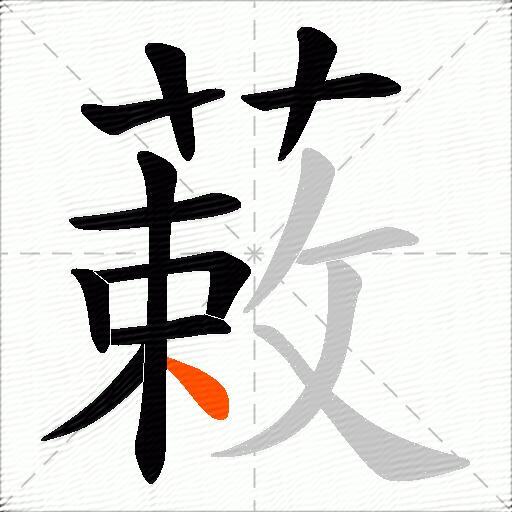 蓛