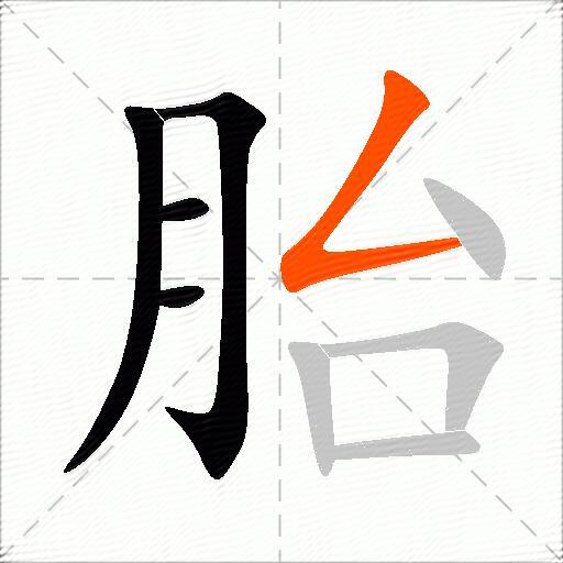 胎