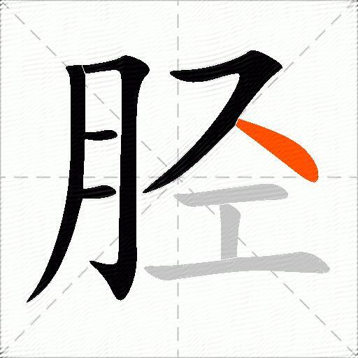 胫