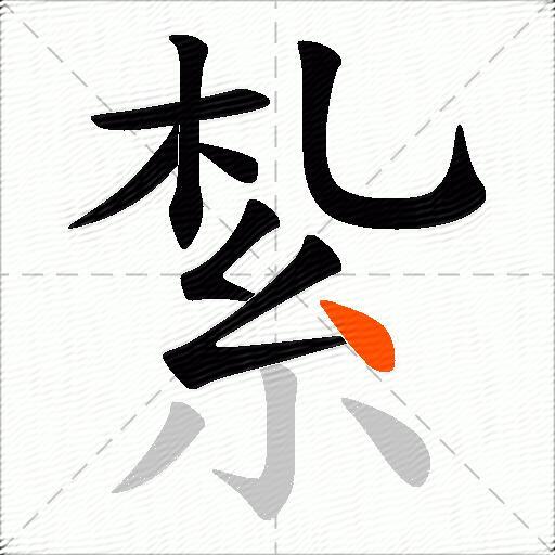 紮