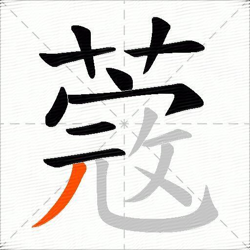 蔲