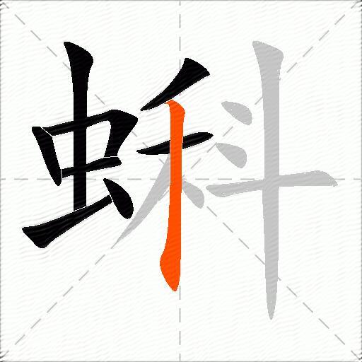 蝌