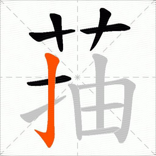 菗