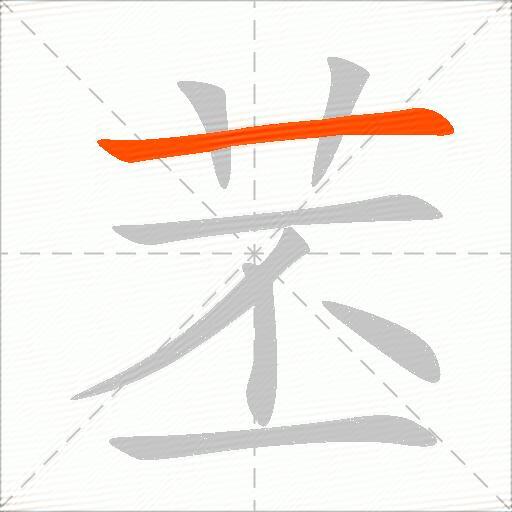 苤
