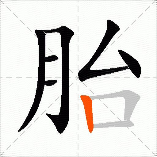 胎