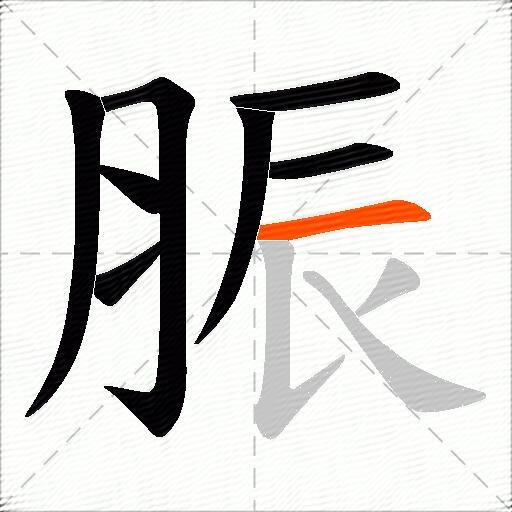脤
