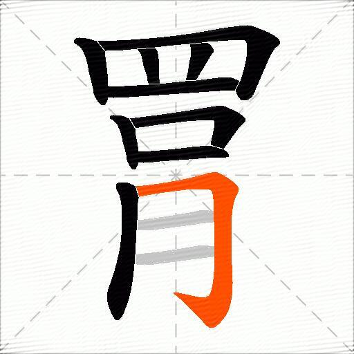 罥