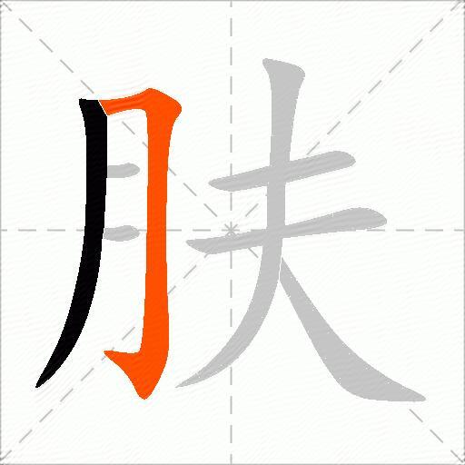 肤