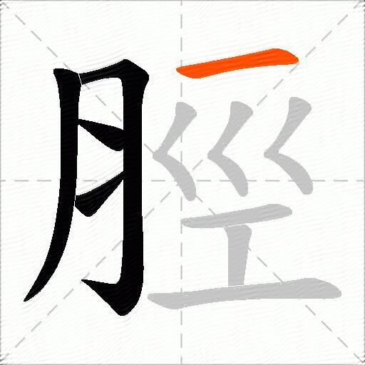 脛