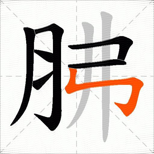 胇