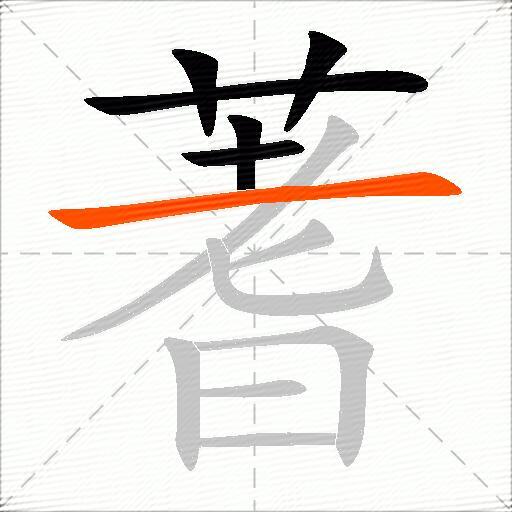 蓍