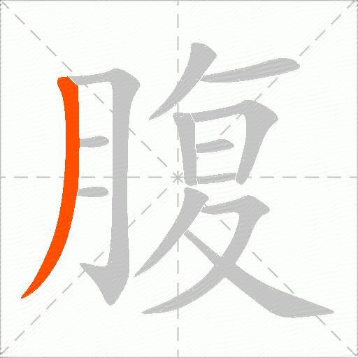 腹