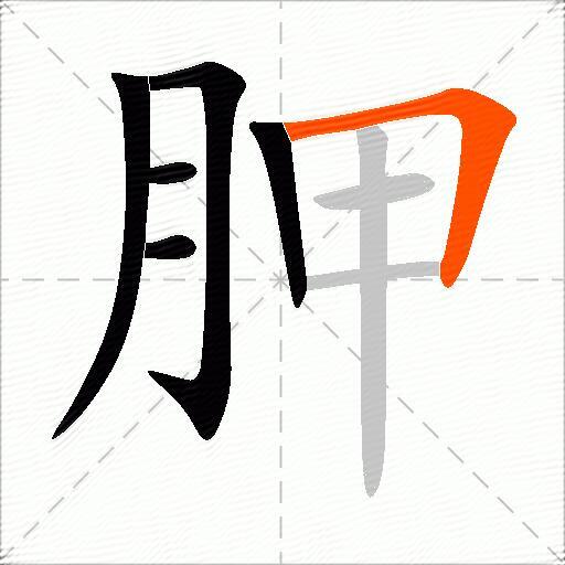 胛