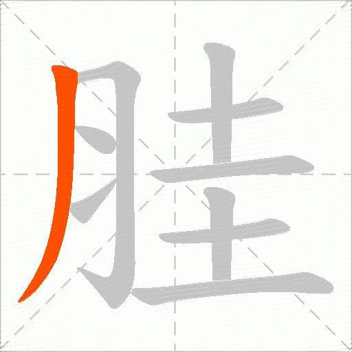 胿
