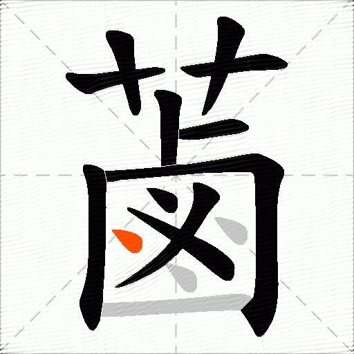 蓾