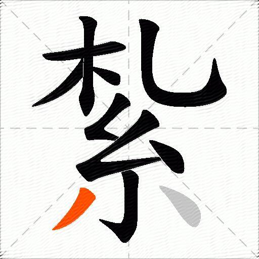 紮