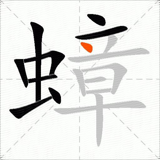 蟑