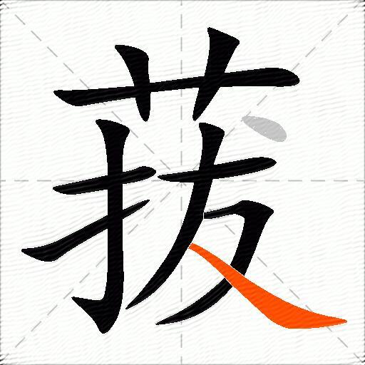 菝