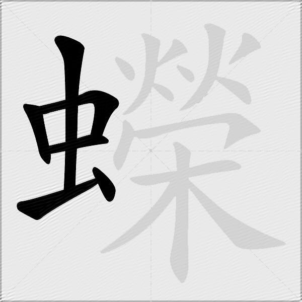 蠑