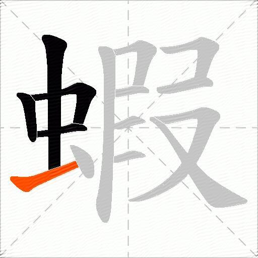 蝦