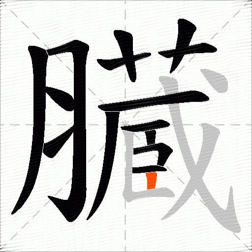 臓