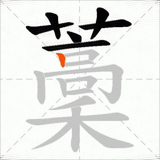 藳