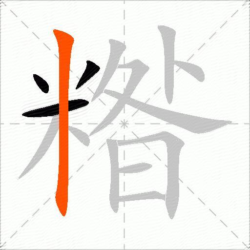 糌