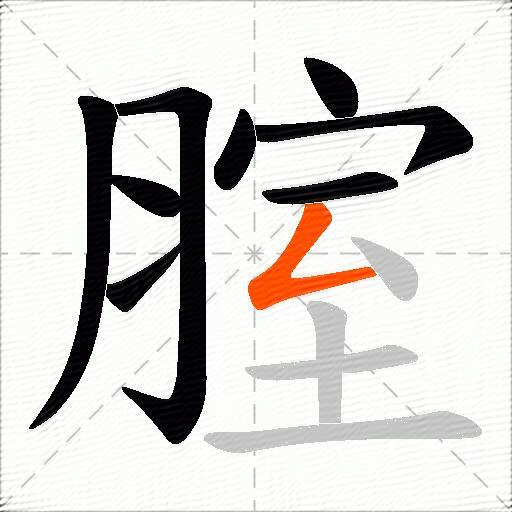 腟