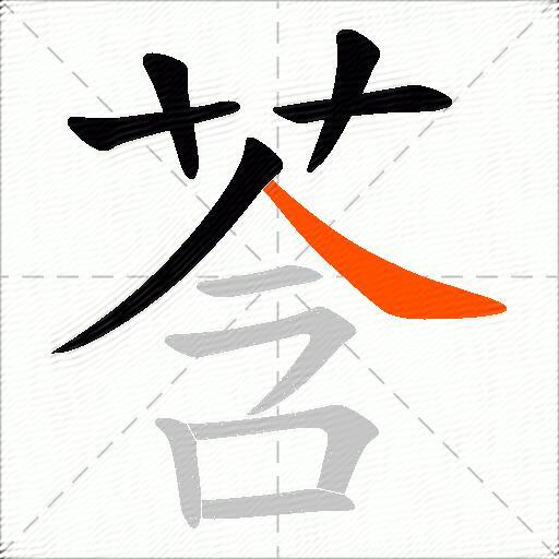 莟