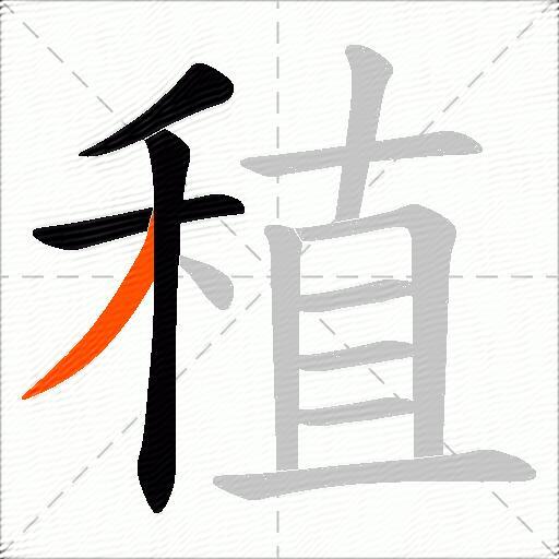 稙