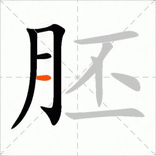 胚