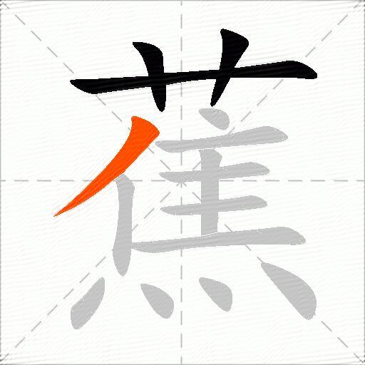 蕉