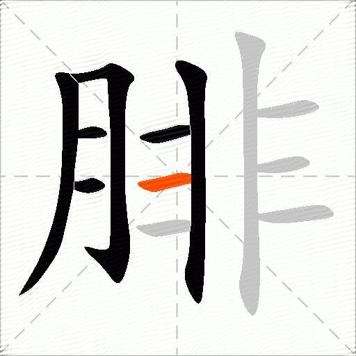 腓