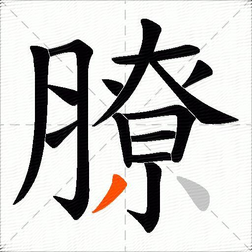 膫