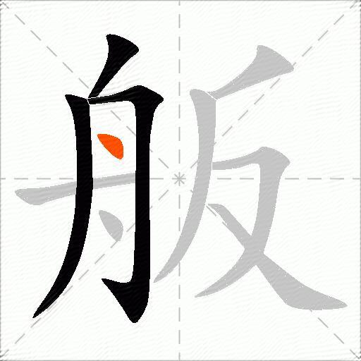 舨