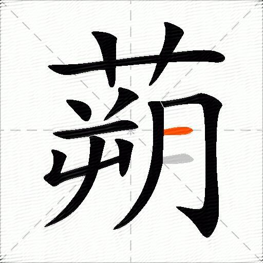 蒴