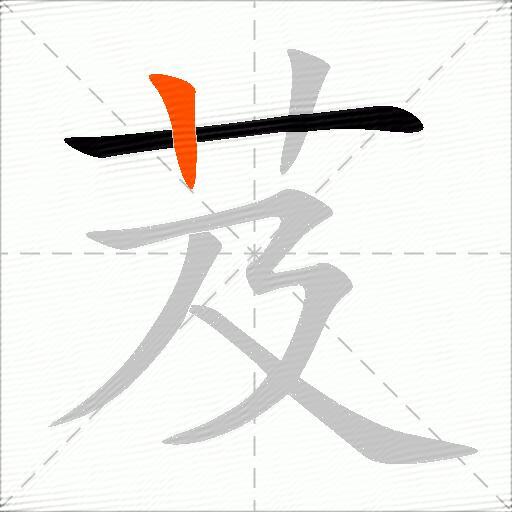 芨