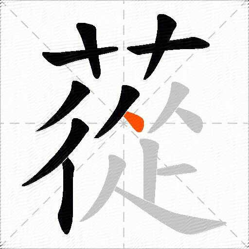 蓯