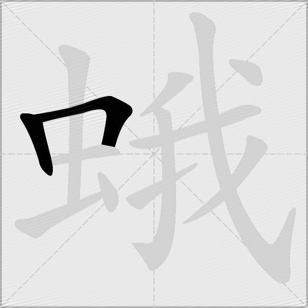 蛾
