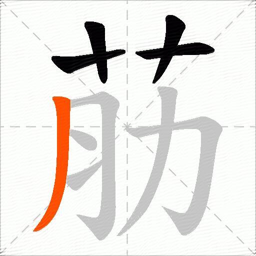 荕
