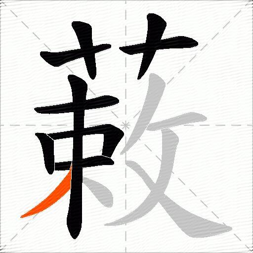 蓛