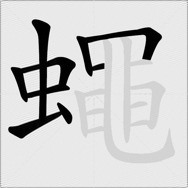 蠅