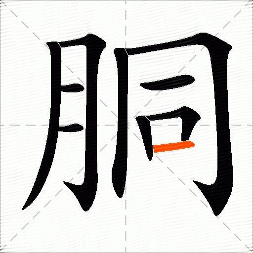 胴