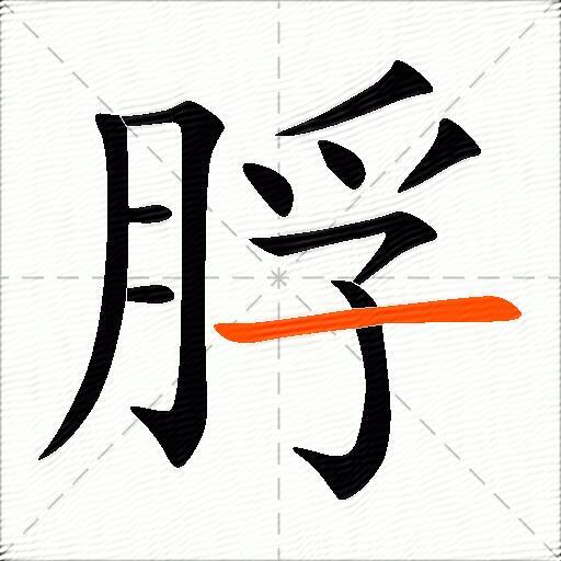脬
