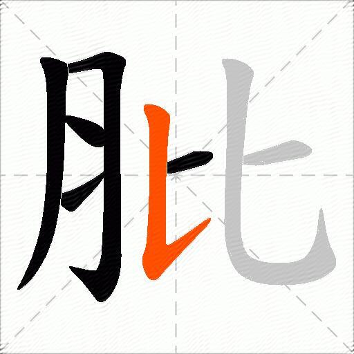 肶